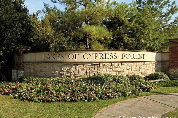 cypress forest window tint