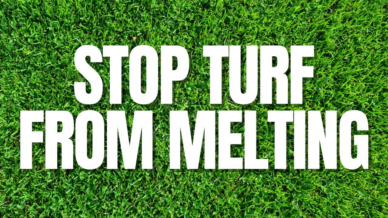 stop turf from melting